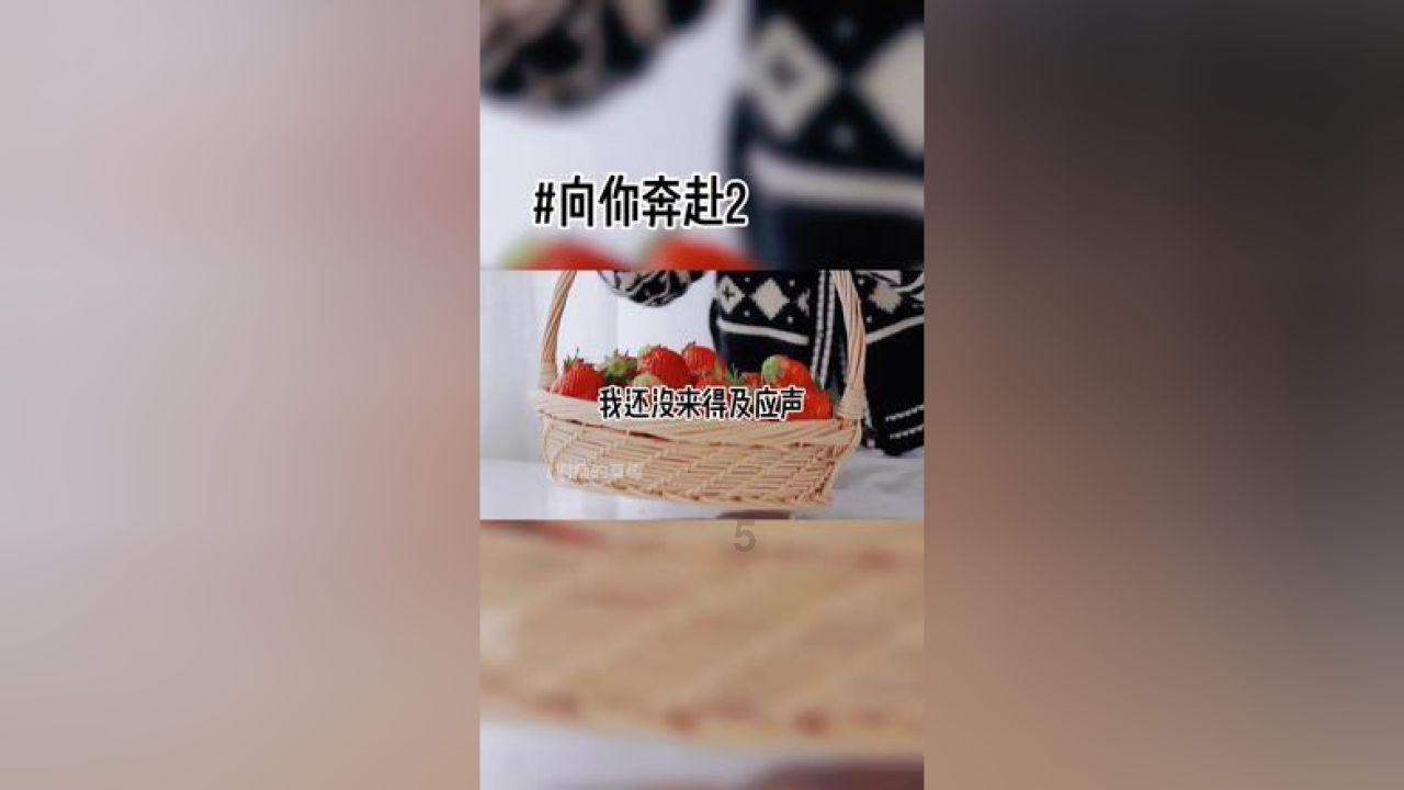 救援受困的火鸡
